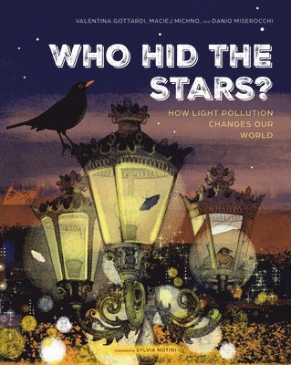 DANIO MISEROCCHI - WHO HID THE STARS, Inbunden