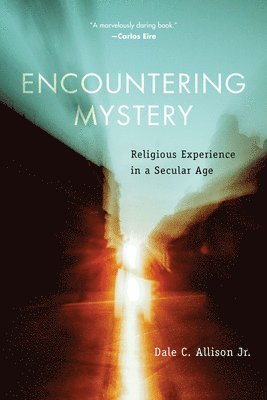 Dale C Allison - Encountering Mystery, Häftad