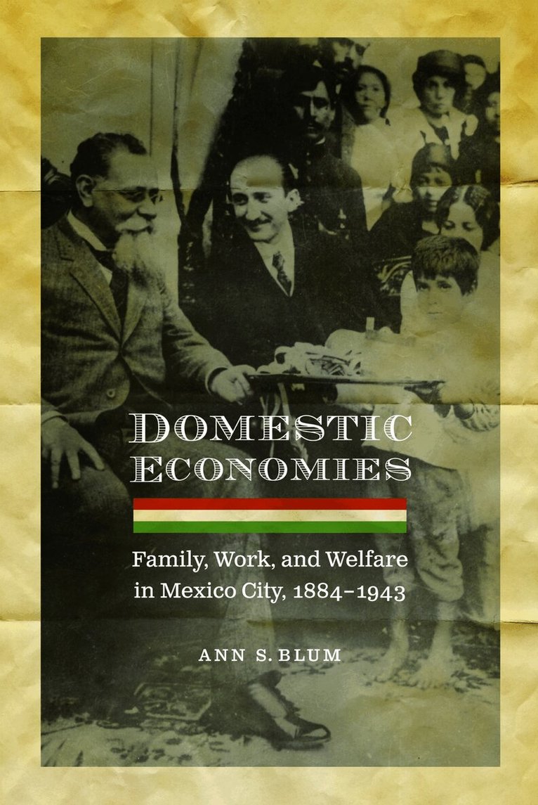 Ann S. Blum - Domestic Economies, E-bok