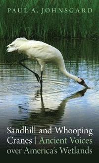 Sandhill and Whooping Cranes