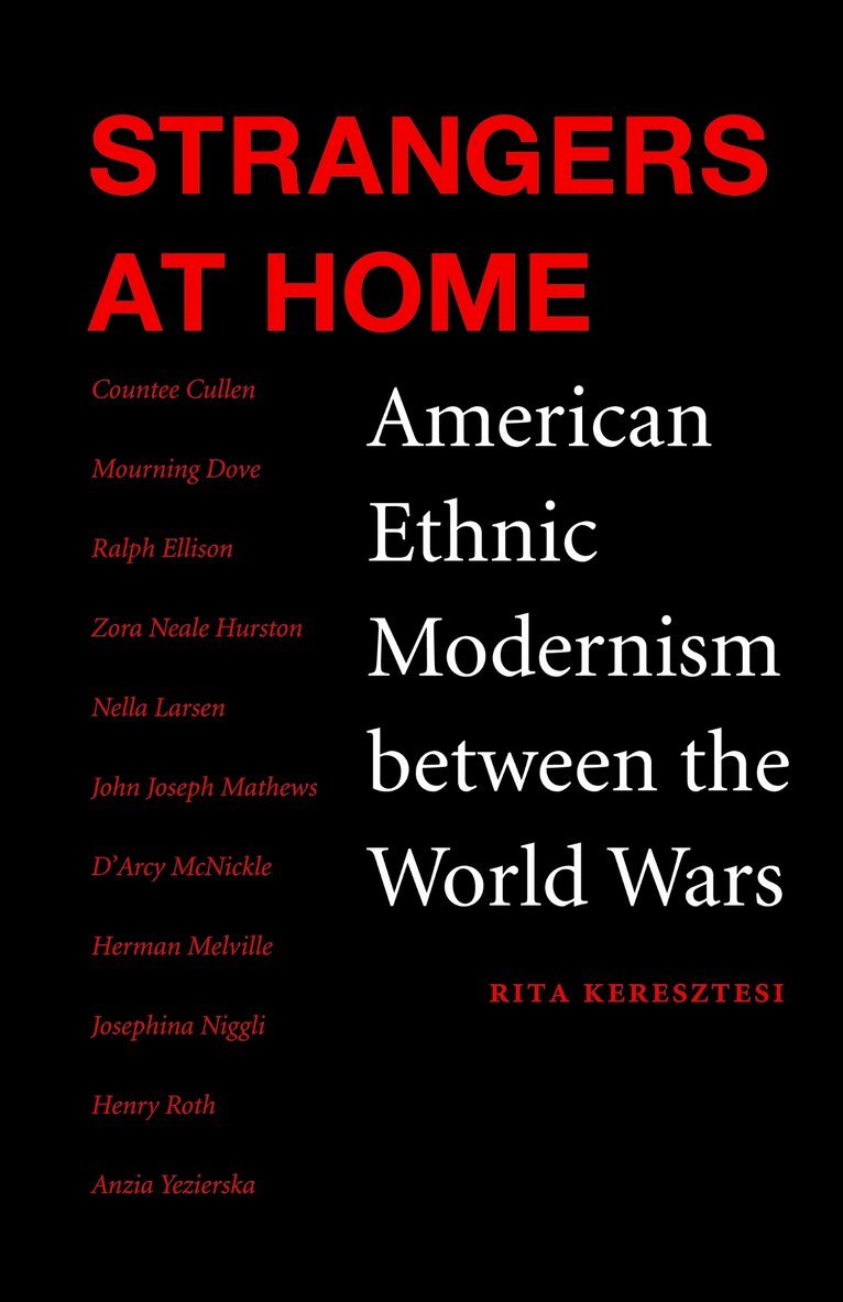 Rita Keresztesi - Strangers at Home, E-bok