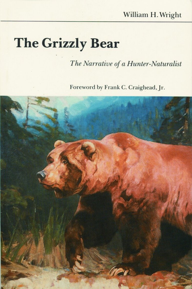 Grizzly Bear