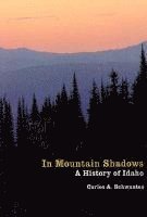 Carlos Arnaldo Schwantes - In Mountain Shadows, Häftad. Tillgänglighet: Tillfälligt slut