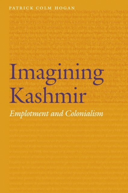 Patrick Colm Hogan - Imagining Kashmir, E-bok