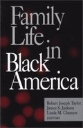 Family Life in Black America