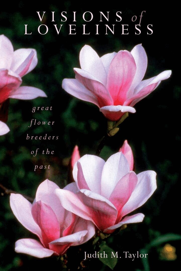 Judith M. Taylor - Visions of Loveliness, E-bok