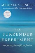 The Surrender Experiment: My Journey Into Life's Perfection