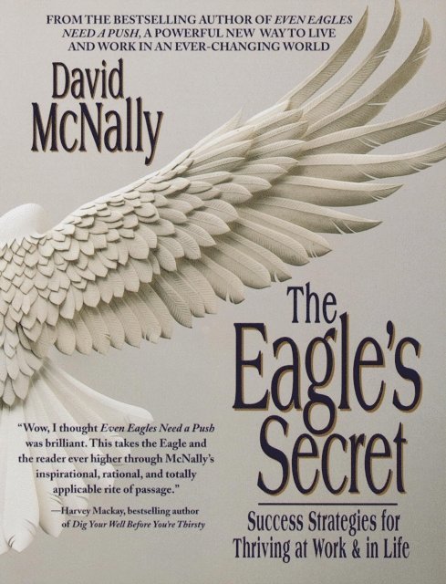 David McNally - Eagle's Secret, E-bok
