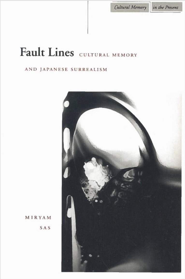 Miryam Sas - Fault Lines, Häftad. Tillgänglighet: Lägg i varukorg