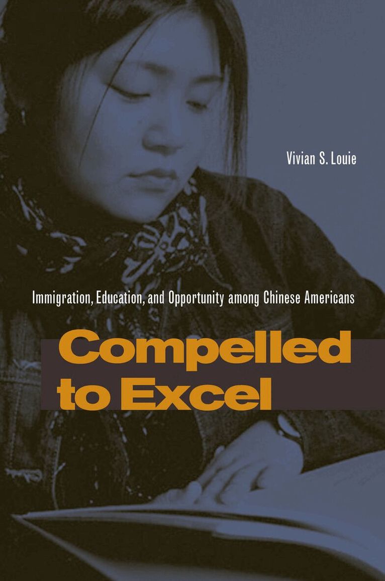 Vivian S. Louie - Compelled to Excel, Inbunden