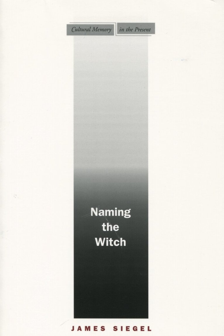 James Siegel - Naming the Witch, Häftad
