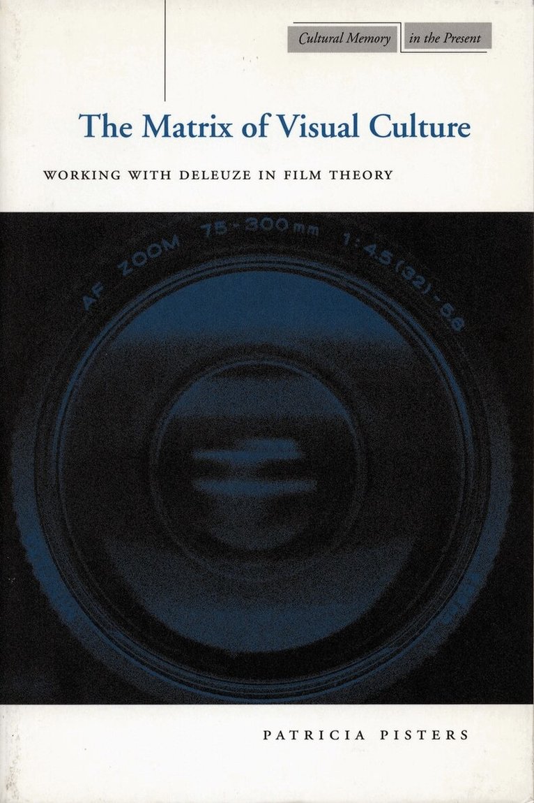 Patricia Pisters - Matrix of Visual Culture, E-bok