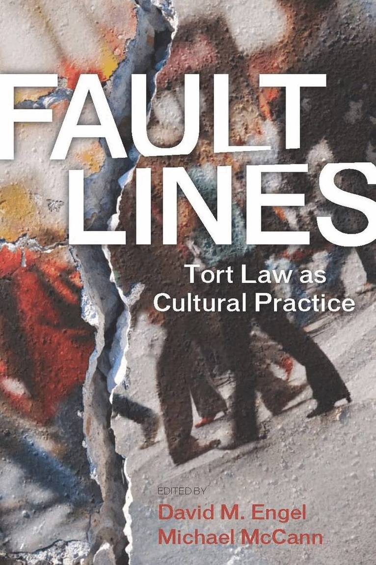 David M. Engel, Michael McCann - Fault Lines, E-bok