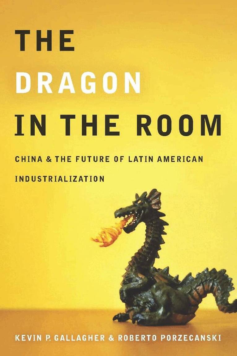 Kevin Gallagher, Roberto Porzecanski - Dragon in the Room, E-bok