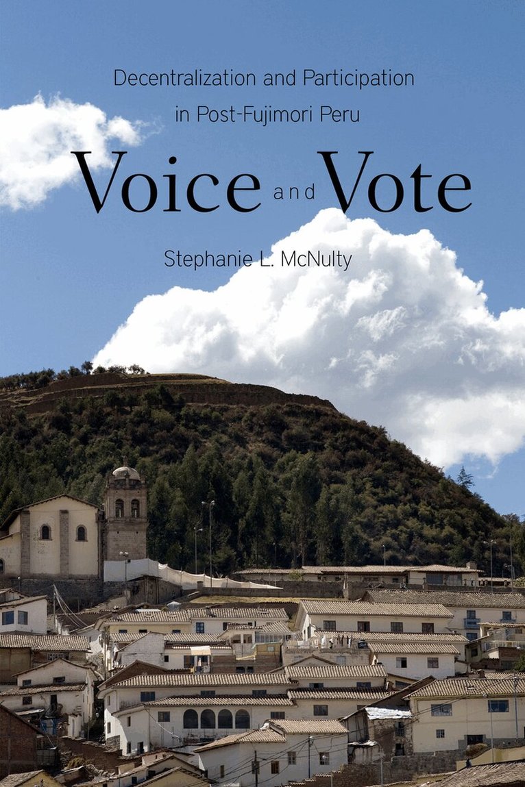 Stephanie McNulty - Voice and Vote, E-bok