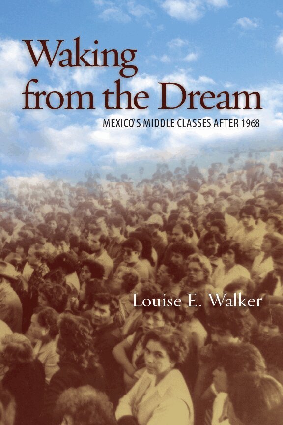 Louise E. Walker - Waking from the Dream, E-bok