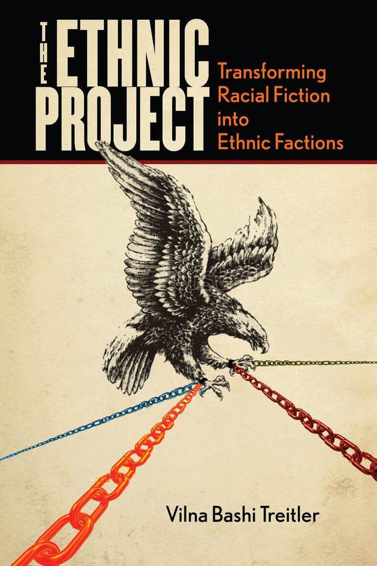 Vilna Bashi Treitler - Ethnic Project, E-bok