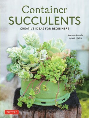 Kentaro Kuroda, Ayako Eifuku - Container Succulents, Häftad. Tillgänglighet: Lägg i varukorg