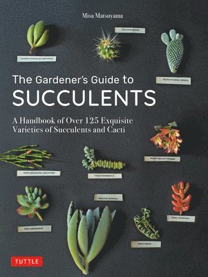 Misa Matsuyama - Gardener's Guide to Succulents, Inbunden. Tillgänglighet: Lägg i varukorg