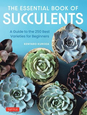 Kentaro Kuroda - Essential Book of Succulents, Inbunden. Tillgänglighet: Lägg i varukorg