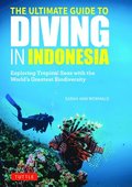 Ultimate Guide to Diving in Indonesia