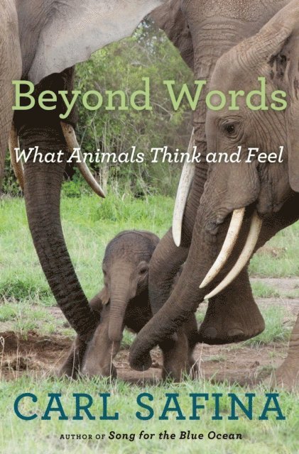 Carl Safina - Beyond Words, E-bok