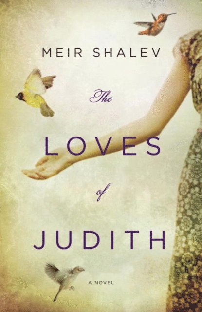 Meir Shalev - Loves of Judith, E-bok