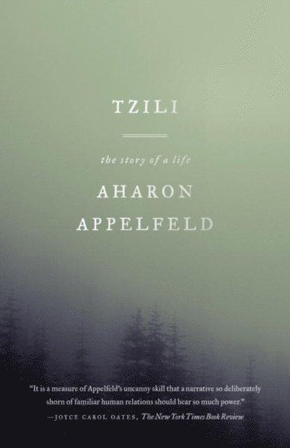 Aharon Appelfeld - Tzili, E-bok
