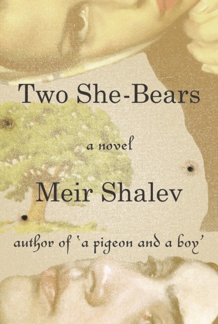 Meir Shalev - Two She-Bears, E-bok