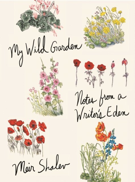 Meir Shalev - My Wild Garden, E-bok