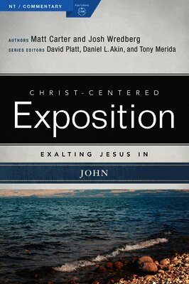 Matt Carter, Josh Wredberg - Exalting Jesus in John, Häftad