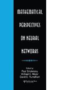 Mathematical Perspectives on Neural Networks