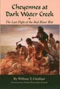 Cheyennes at Dark Water Creek
