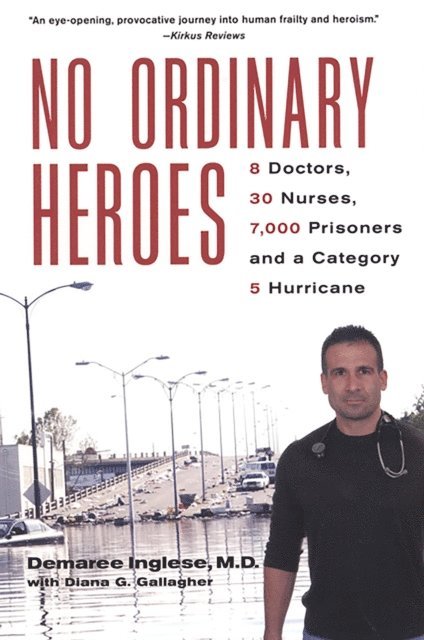 Diana G. Gallagher, Demaree Inglese - No Ordinary Heroes:, E-bok