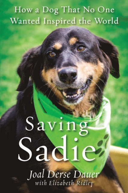 Elizabeth Ridley, Joal Derse Dauer - Saving Sadie, E-bok