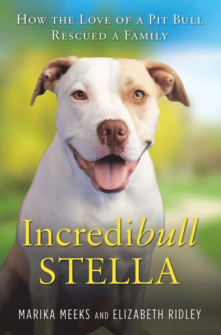 Marika Meeks - Incredibull Stella, Häftad