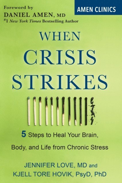 Kjell Tore Hovik, Jennifer Love - When Crisis Strikes, E-bok