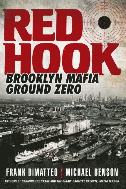 Michael Benson, Frank DiMatteo - Red Hook, E-bok