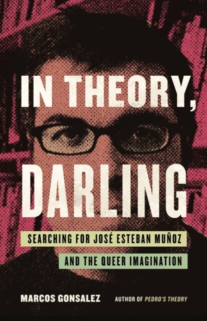 Marcos Gonsalez - In Theory, Darling, E-bok