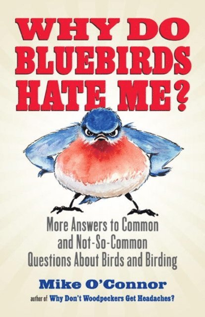 Mike O'Connor - Why Do Bluebirds Hate Me?, E-bok