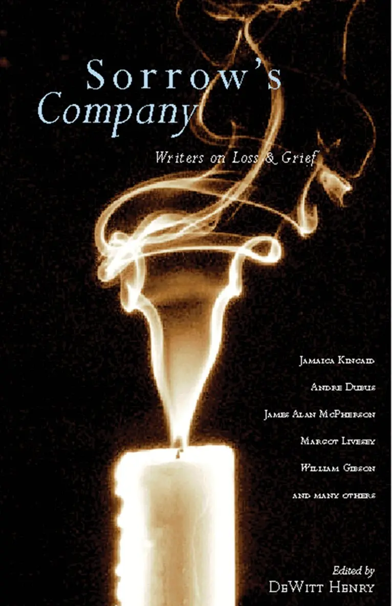 Dewitt Henry - Sorrow's Company, Häftad. Tillgänglighet: Lägg i varukorg