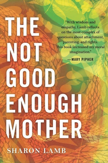 Sharon Lamb - Not Good Enough Mother, E-bok