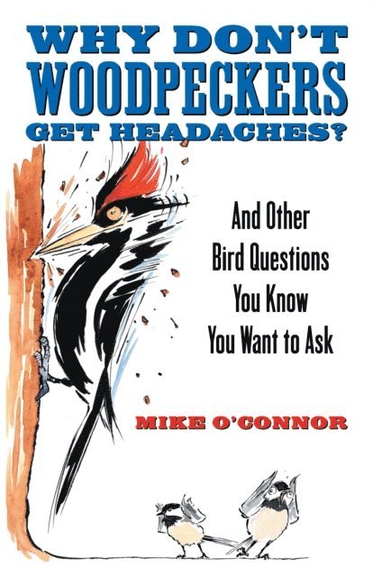 Mike O'Connor - Why Don't Woodpeckers Get Headaches?, E-bok