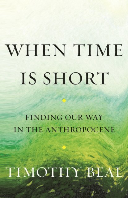 Timothy Beal - When Time Is Short, E-bok