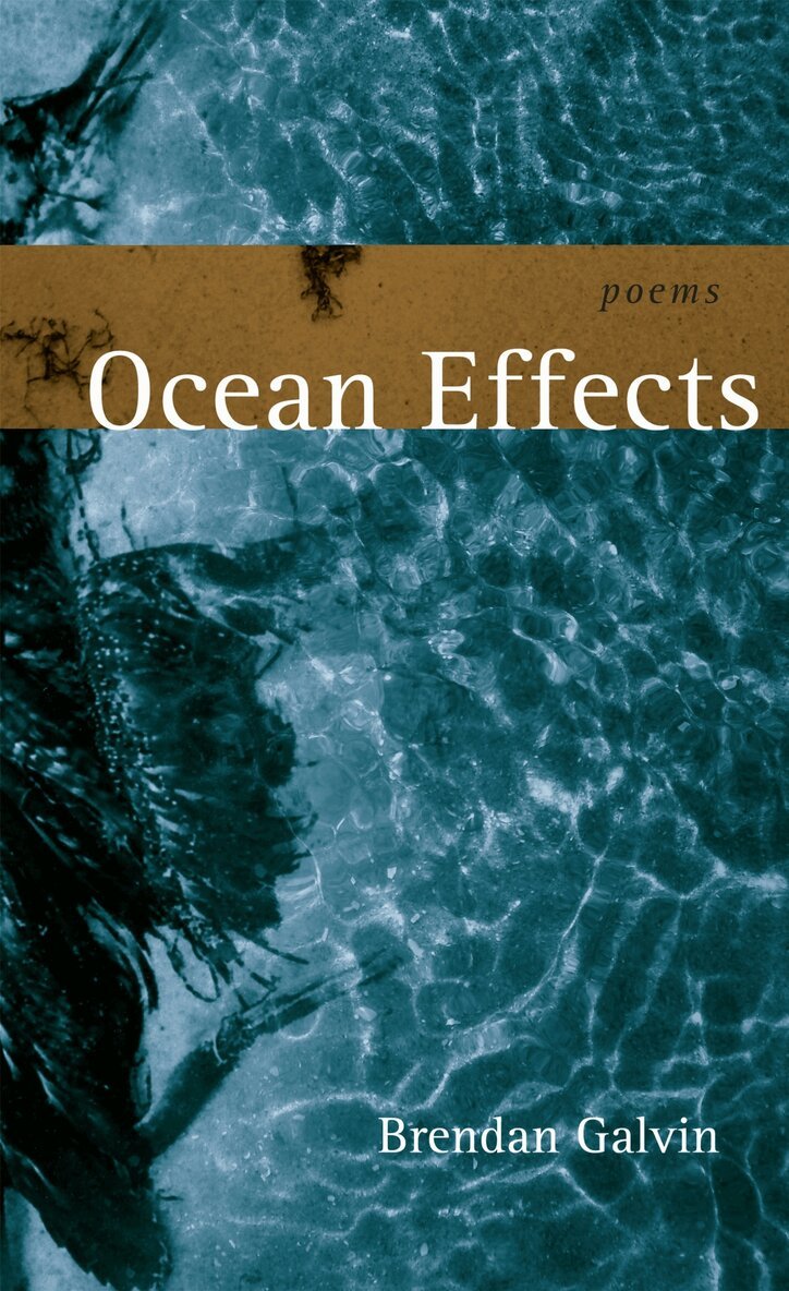 Brendan Galvin - Ocean Effects, Häftad. Tillgänglighet: Tillfälligt slut