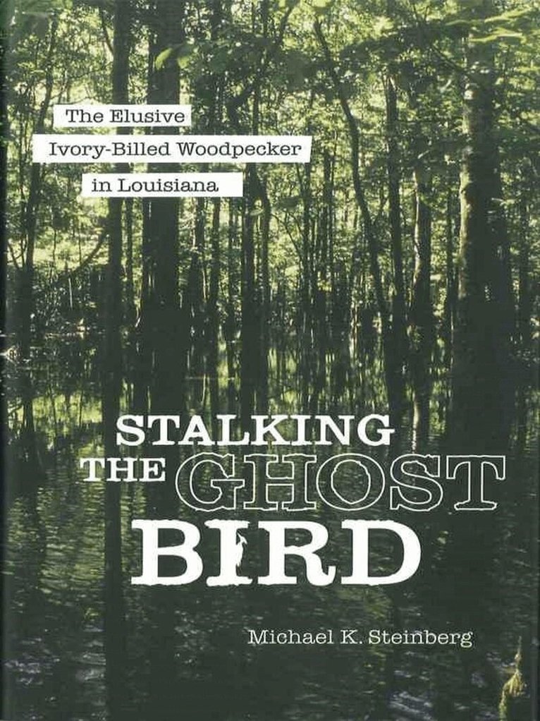 Michael K. Steinberg - Stalking the Ghost Bird, Inbunden. Tillgänglighet: Tillfälligt slut