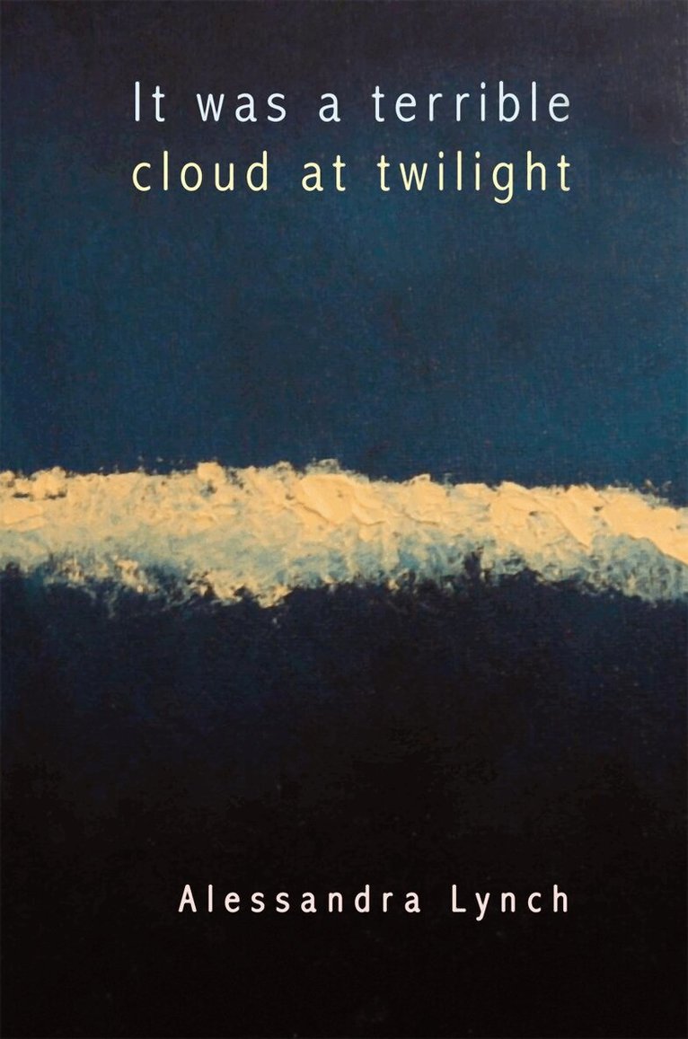 Alessandra Lynch - It Was a Terrible Cloud at Twilight, Häftad. Tillgänglighet: Tillfälligt slut