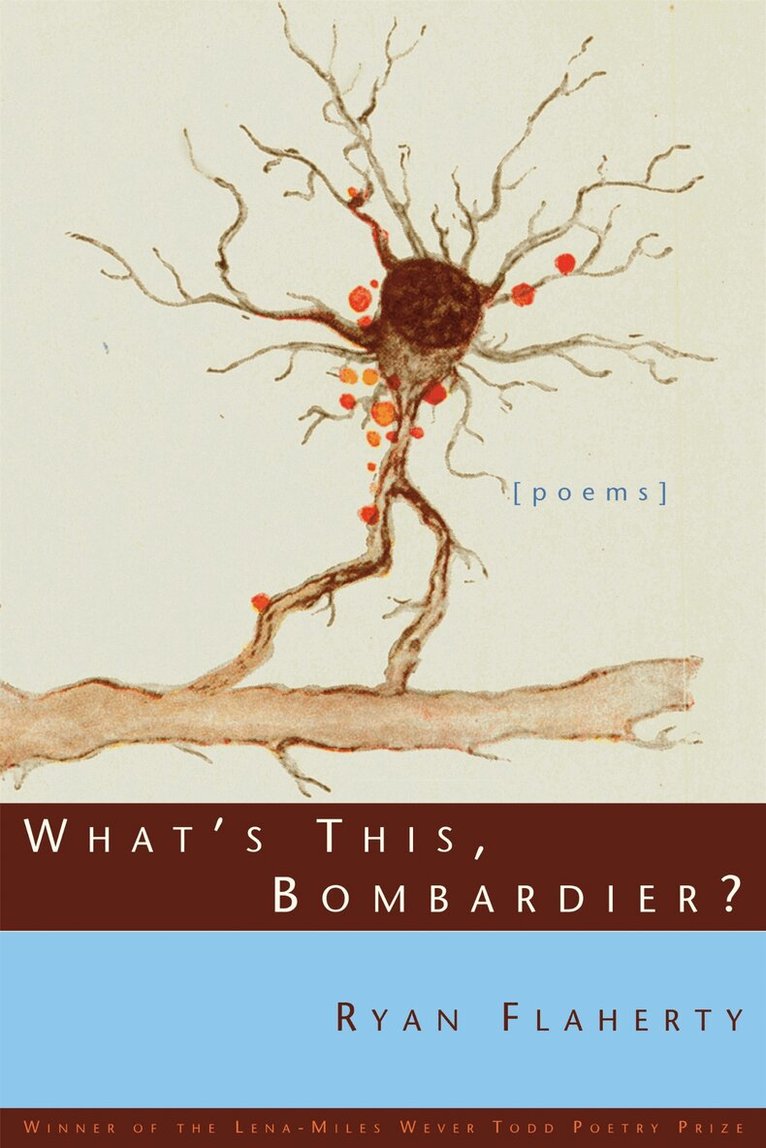 Ryan Flaherty - What's This, Bombardier?, Häftad. Tillgänglighet: Tillfälligt slut