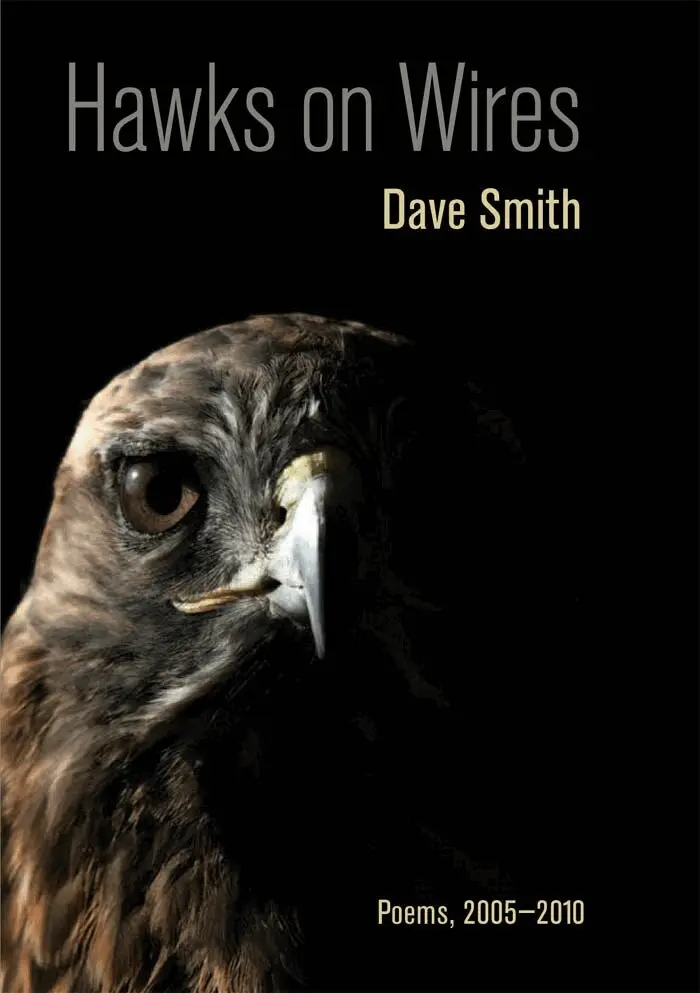 Dave Smith - Hawks on Wires, Häftad. Tillgänglighet: Lägg i varukorg