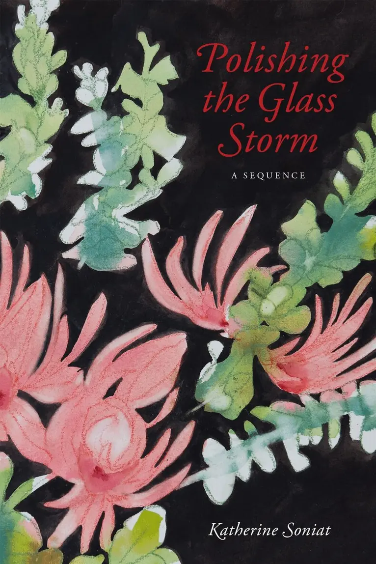 Katherine Soniat - Polishing the Glass Storm, Häftad. Tillgänglighet: Lägg i varukorg